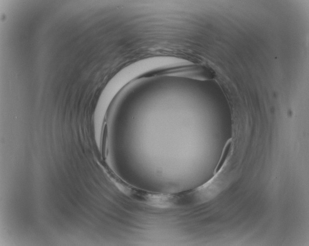 X0000081300192200701251727