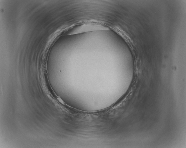 X0000081300193200701251726