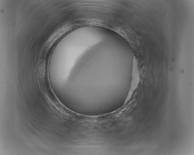 X0000081300194200701251726