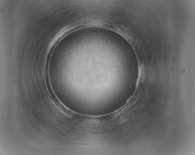 X0000081300195200701251726