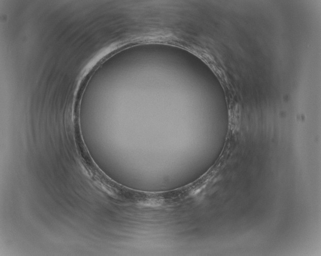 X0000081300196200701251726