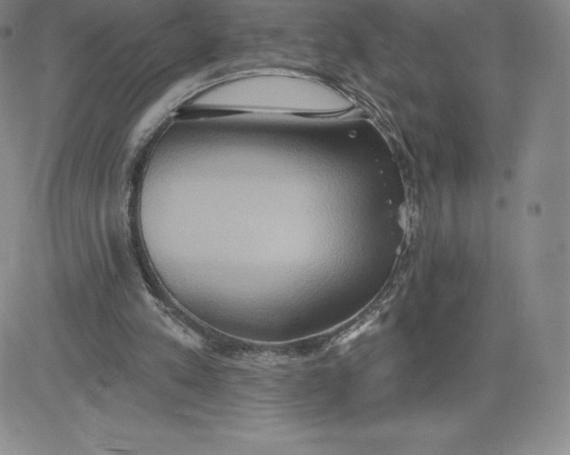 X0000081300197200701251726