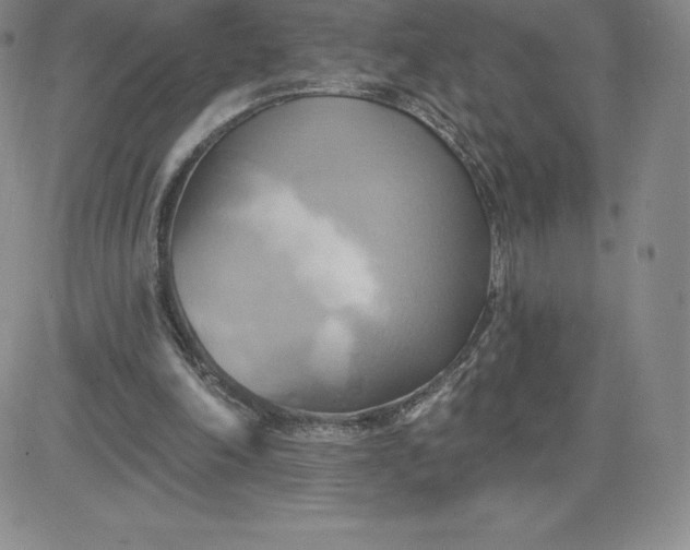 X0000081300198200701251726