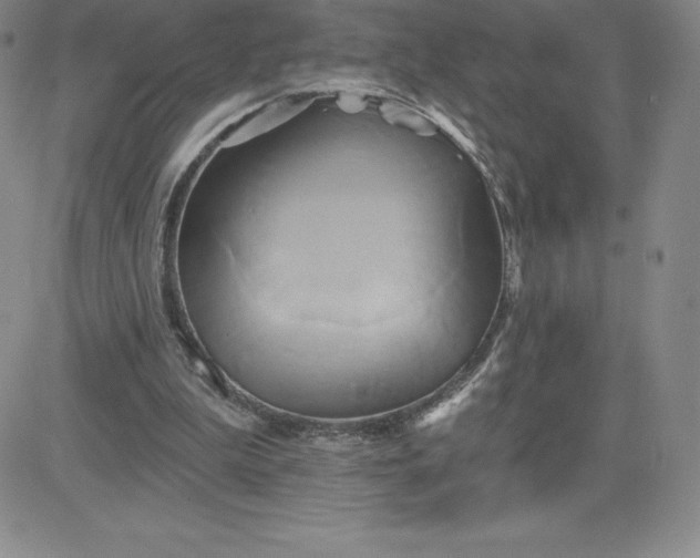 X0000081300199200701251726