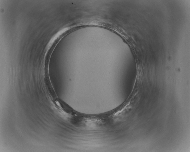 X0000081300200200701251726