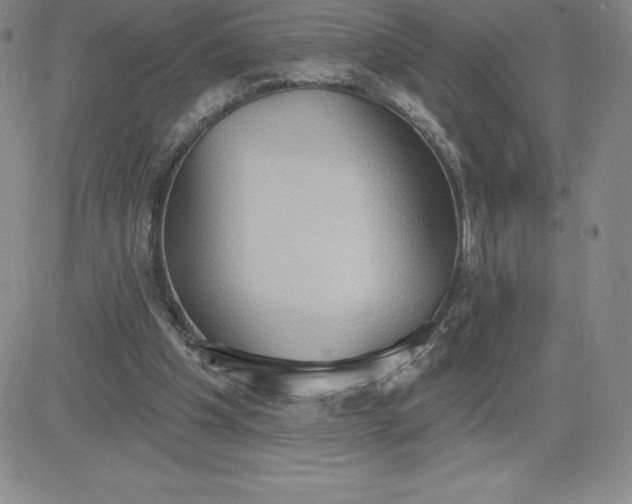 X0000081300201200701251726