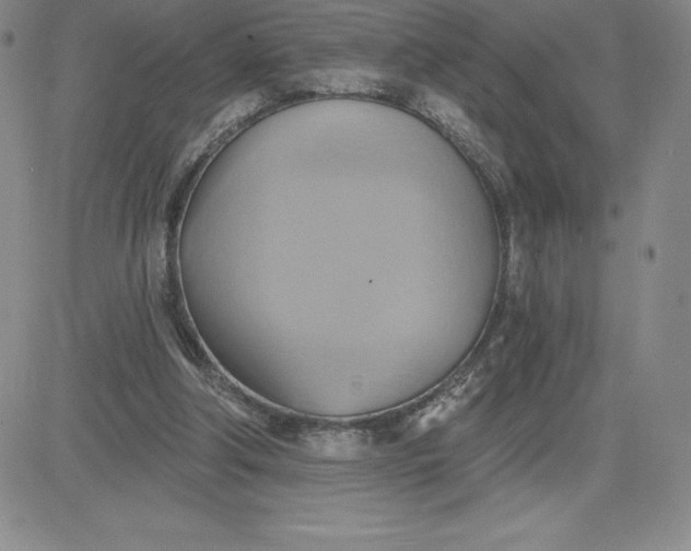 X0000081300202200701251726