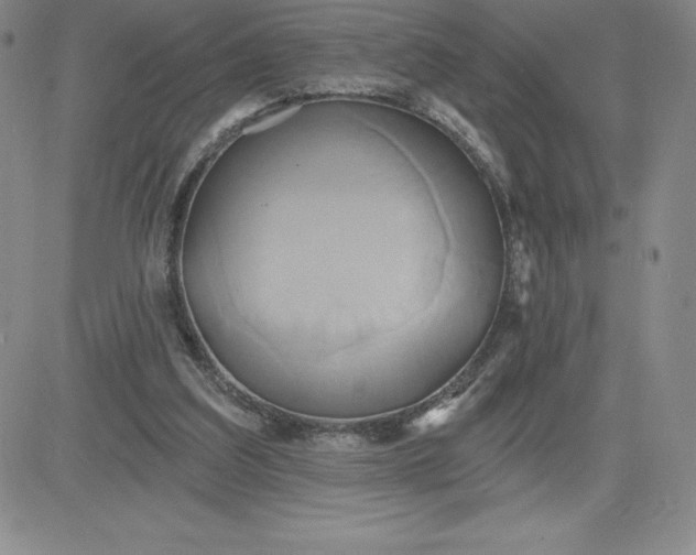 X0000081300203200701251726