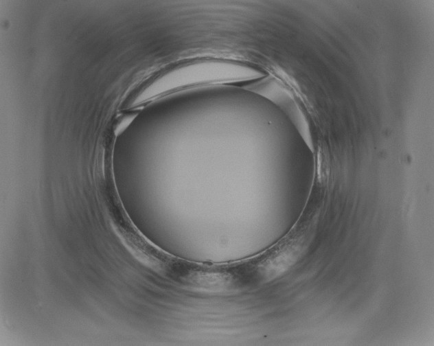 X0000081300205200701251726