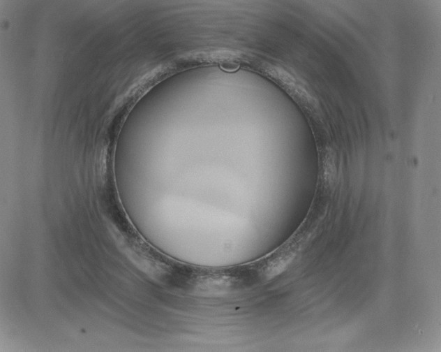 X0000081300206200701251726