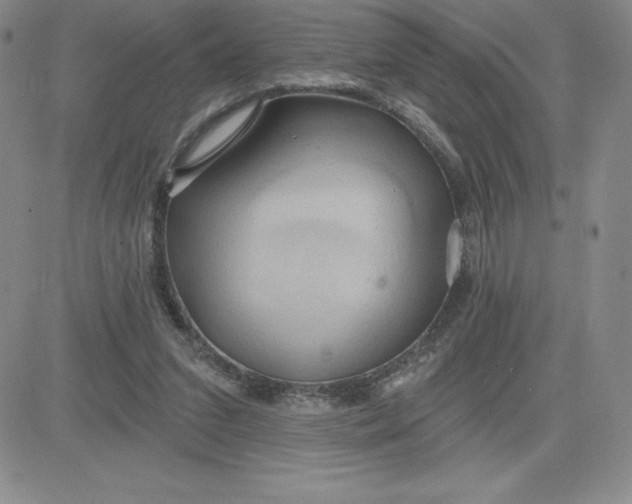 X0000081300207200701251726