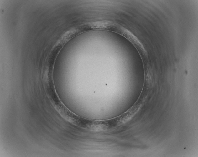 X0000081300209200701251726