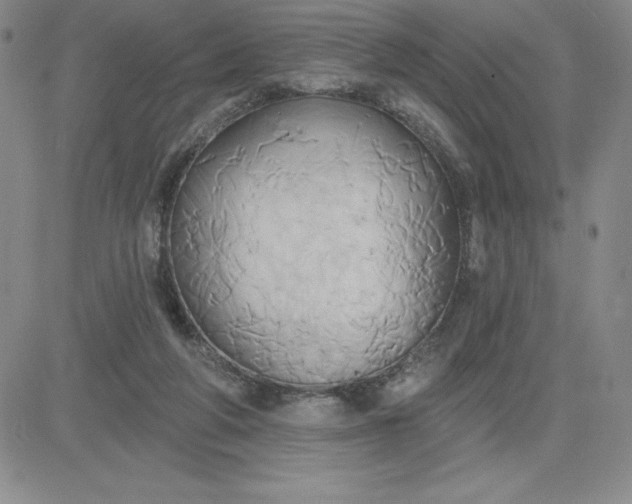 X0000081300210200701251726