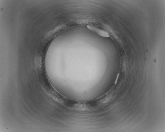 X0000081300211200701251726