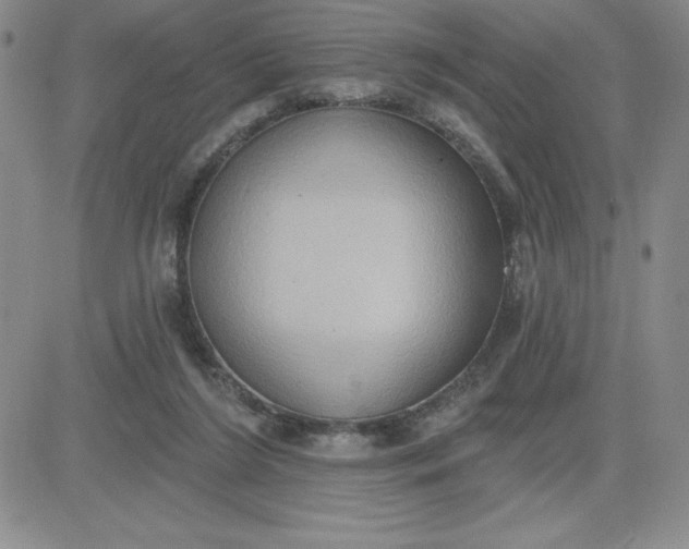 X0000081300212200701251726