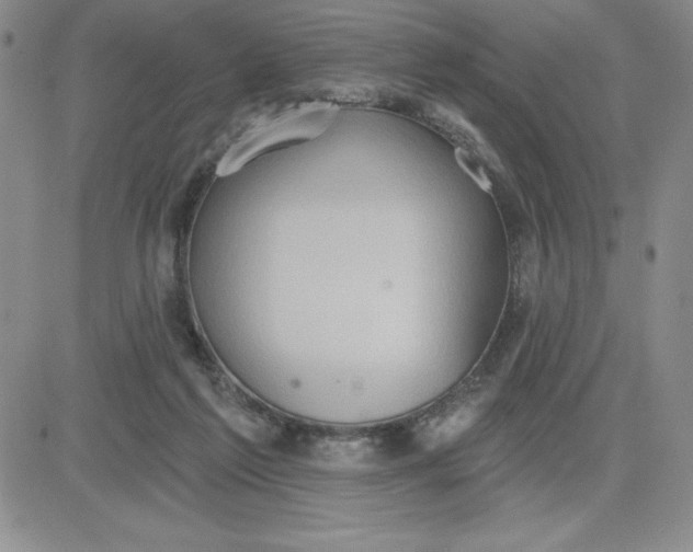 X0000081300213200701251726