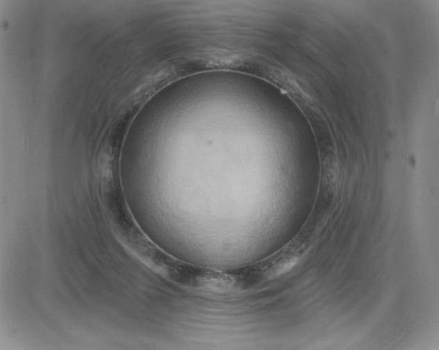 X0000081300215200701251726