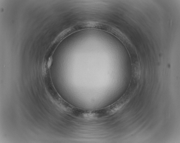 X0000081300216200701251726