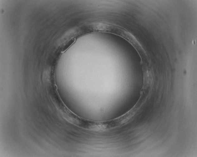 X0000081300217200701251726