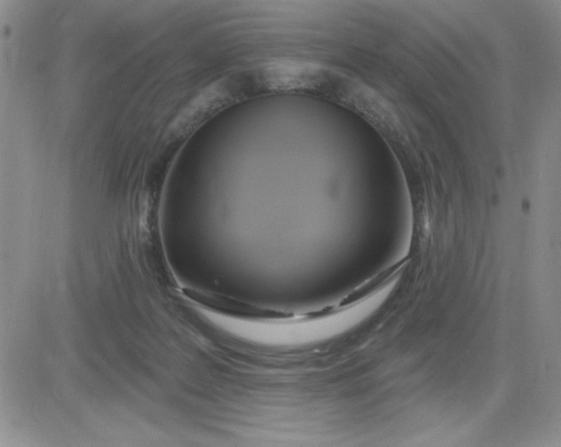 X0000081300219200701251726