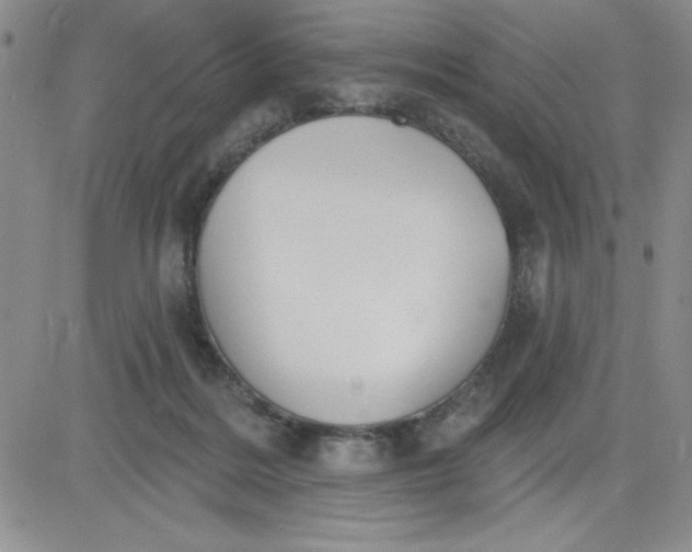 X0000081300220200701251726