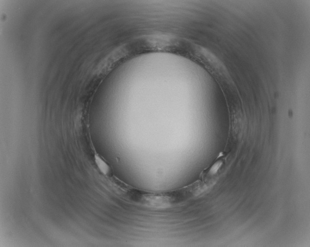 X0000081300221200701251726