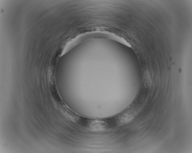 X0000081300222200701251726