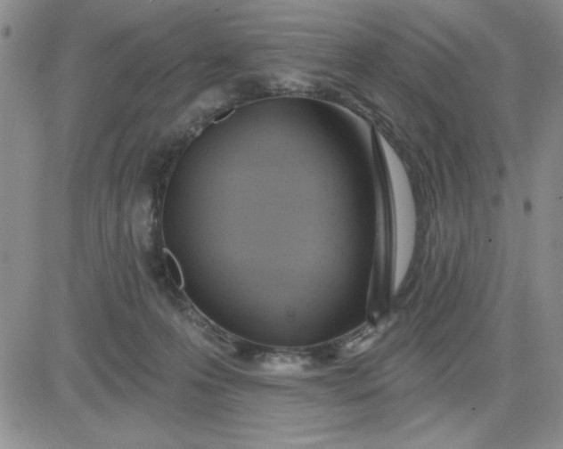 X0000081300223200701251726