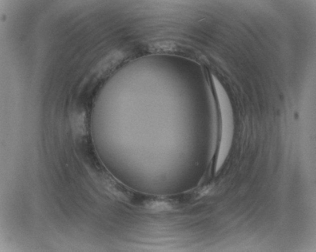 X0000081300224200701251726