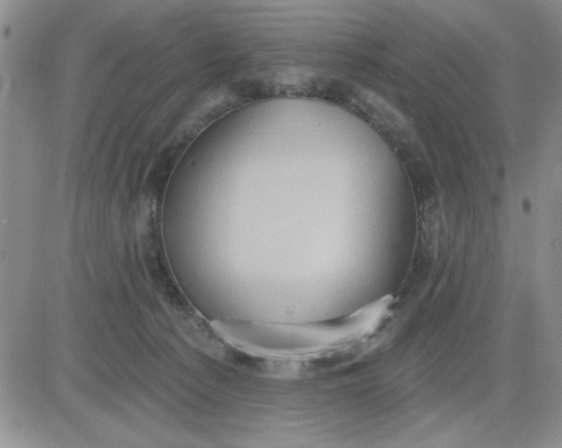 X0000081300225200701251726