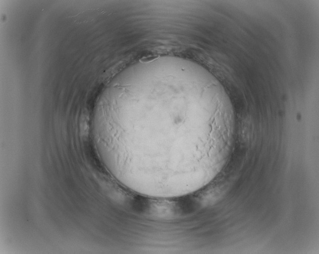 X0000081300226200701251726