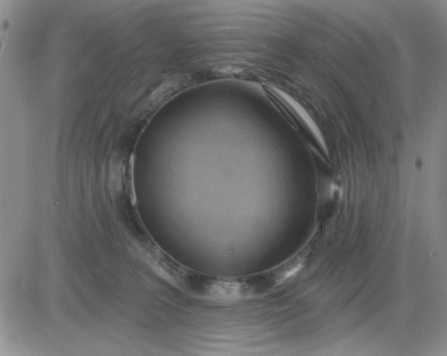 X0000081300227200701251726