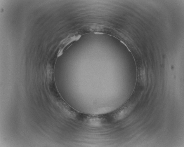 X0000081300228200701251726