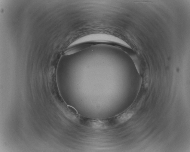 X0000081300229200701251726