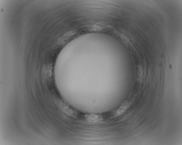 X0000081300230200701251726