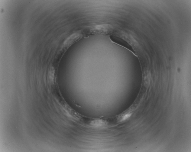 X0000081300231200701251726