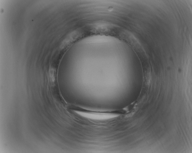 X0000081300232200701251726