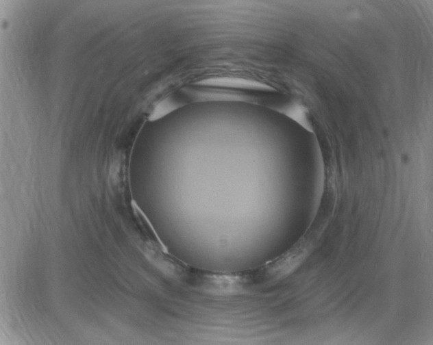 X0000081300233200701251726