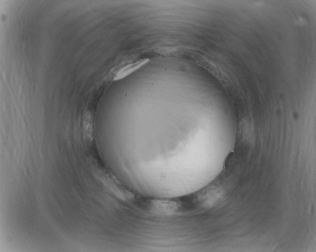 X0000081300234200701251726