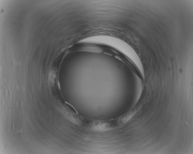 X0000081300235200701251726