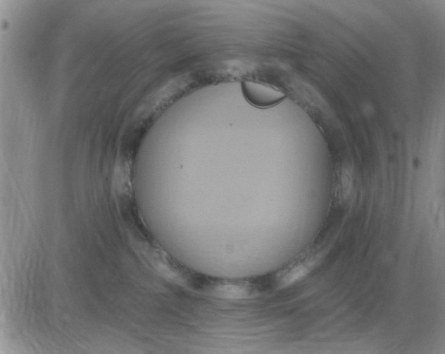 X0000081300236200701251726