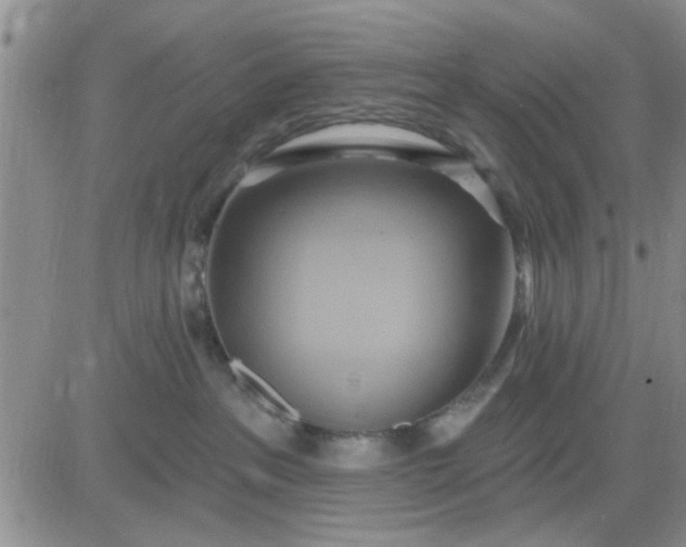 X0000081300237200701251726