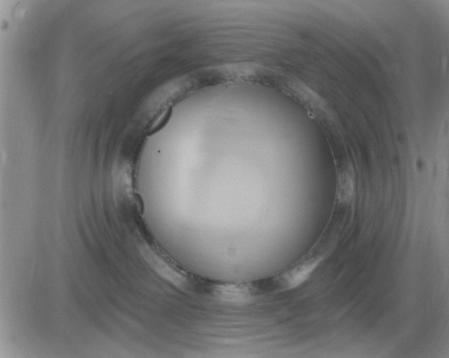 X0000081300238200701251726