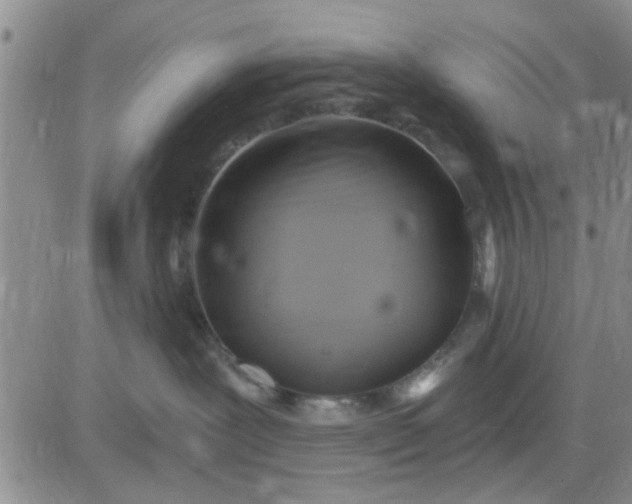 X0000081300239200701251726