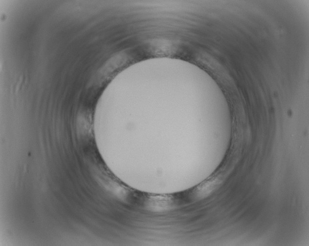 X0000081300240200701251726