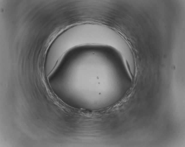 X0000081300241200701251725