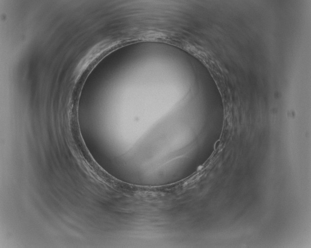 X0000081300242200701251725