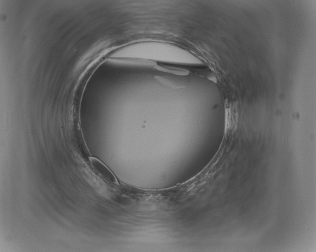 X0000081300243200701251725