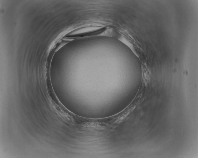 X0000081300244200701251725