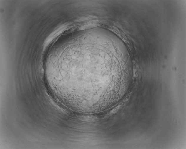 X0000081300245200701251725